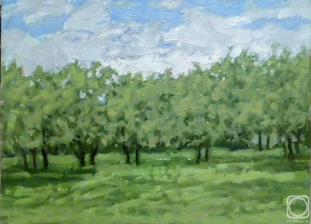 �������. �������� ��������. ���