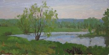 spring morning. will rain soon. Chertov Sergey