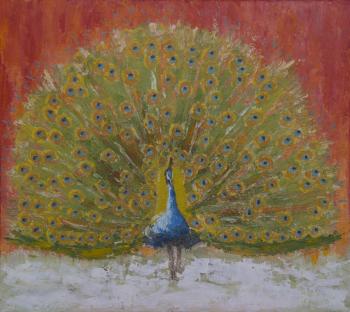 The sacred peacock