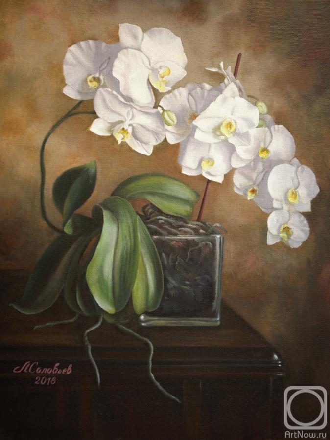 Soloviev Leonid. Still life with orchid