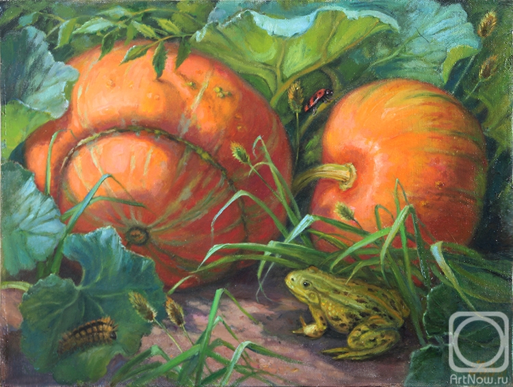 Shumakova Elena. Pumpkin and frog