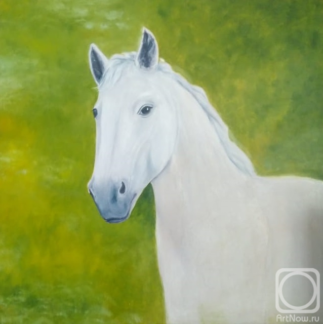 Krivokhizhin Vitaliy. White Horse