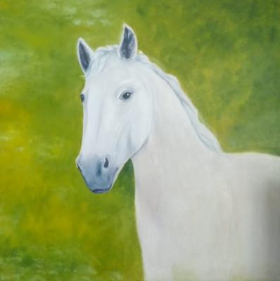 White Horse. Krivokhizhin Vitaliy