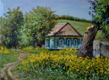 House on the outskirts of Novy Usad. Bakaeva Yulia