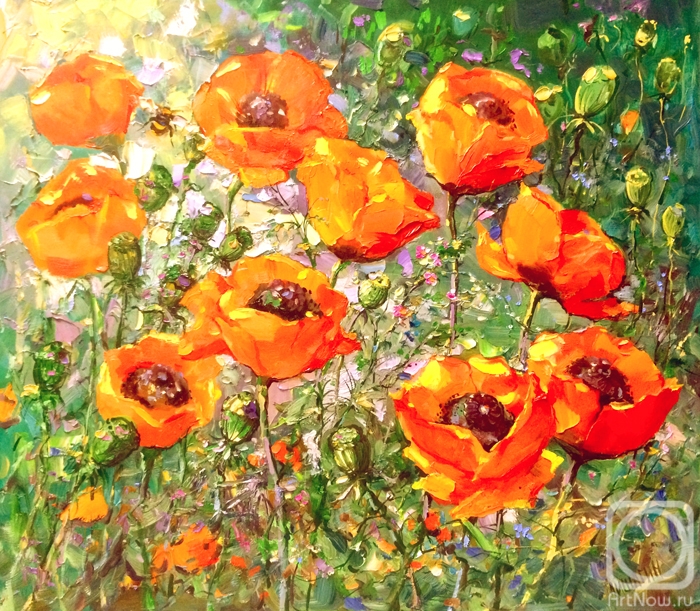 Mishagin Andrey. Red poppies