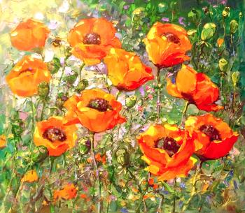 Red poppies. Mishagin Andrey