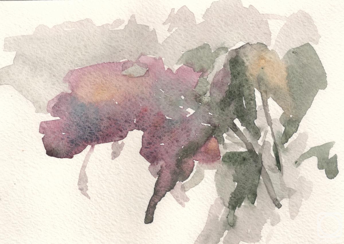 �������. ��������� �������. ����� ������