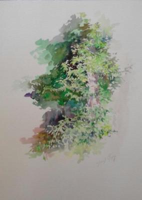 ������� ������. ������ �����