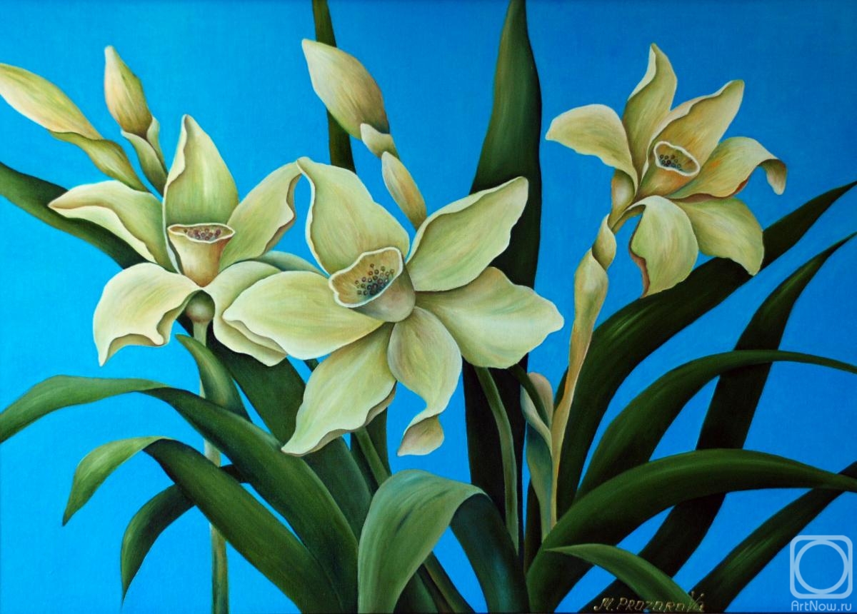 �������. ��������� ���������. ��������