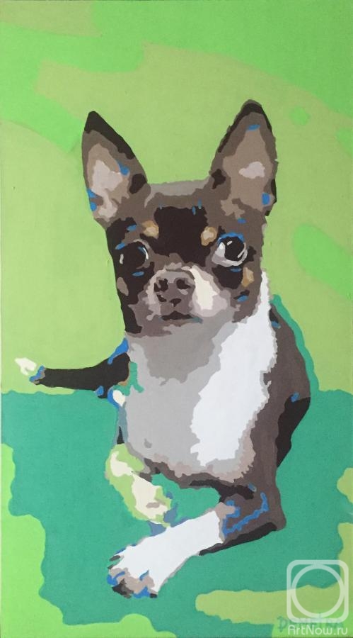 �������. �������� �������. �������� ����