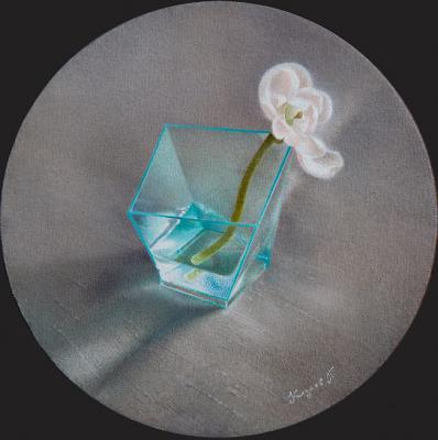 �������� ���������. ������ ϸ��