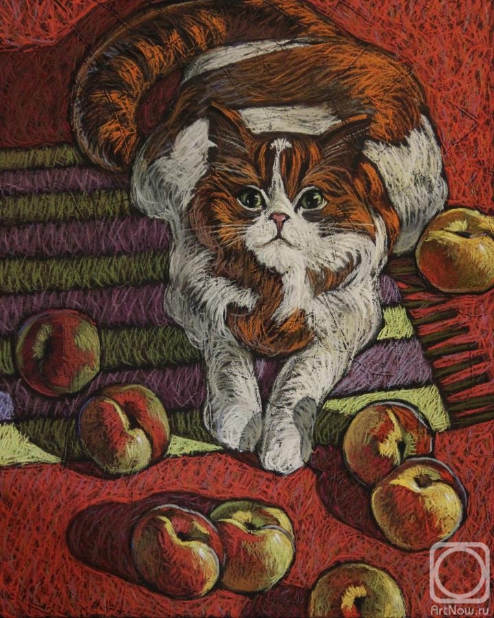 �������. ������� �������. ������� � ���������