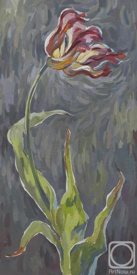 Goda Laima. Lonely tulip