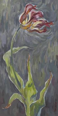 Lonely tulip