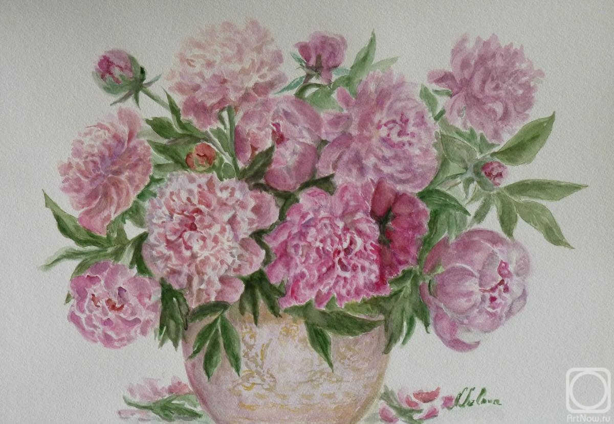 �������. ������� �������. �����. ����