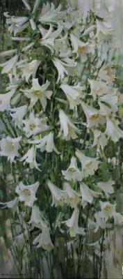 ������� ������ �����. ������� ��������