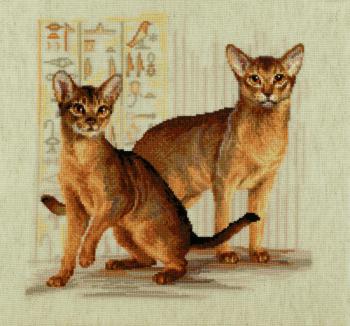 Abyssinian cats (). Khrapkova Svetlana