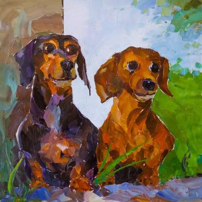 Dachshunds. Friends - friends