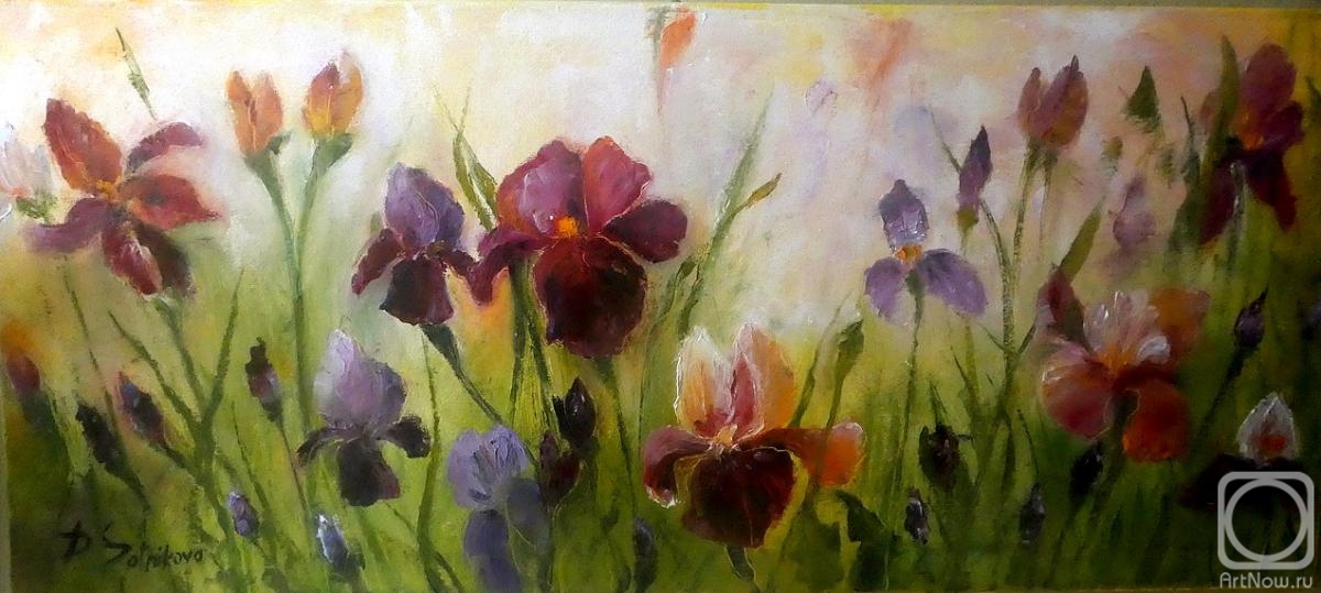 Sotnikova Diana. Irises in the field