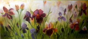 Irises in the field. Sotnikova Diana