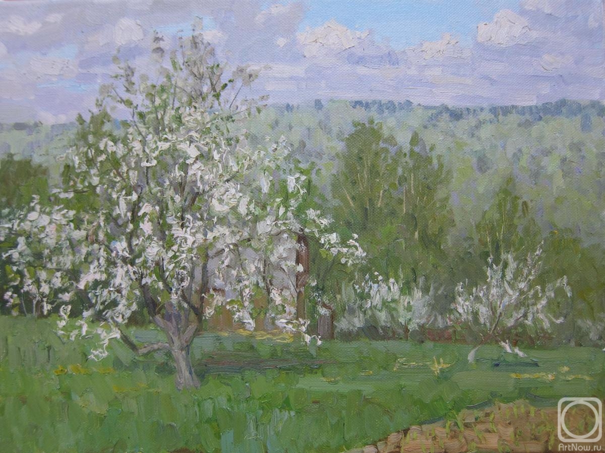 ������� ������ �� ������. ������ ������. �����