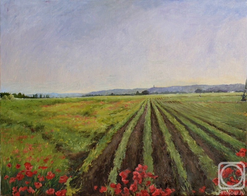 ������� ������ �� ������. ������ �������. ����