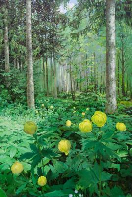 ������� ������������