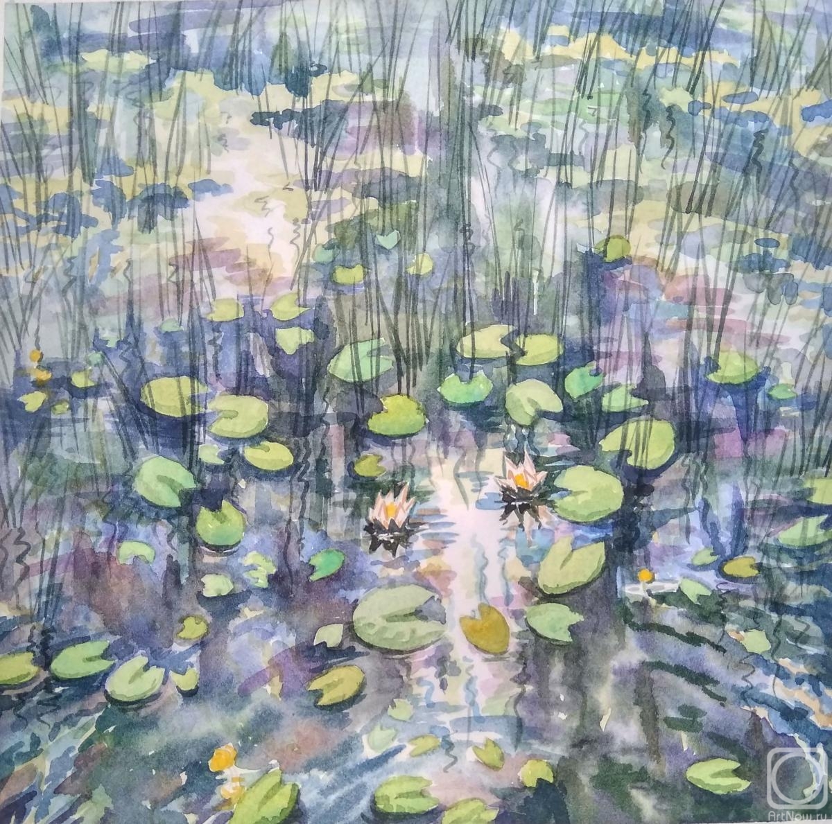 Gorenkova Anna. Water lilies