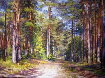 The sun in the pine forest. Rodionov Igor