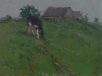 ������� ���������