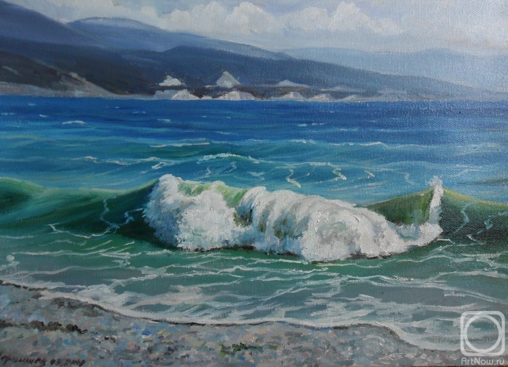 Chernyshev Andrei. Surf in the bay