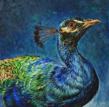 ������� ��������