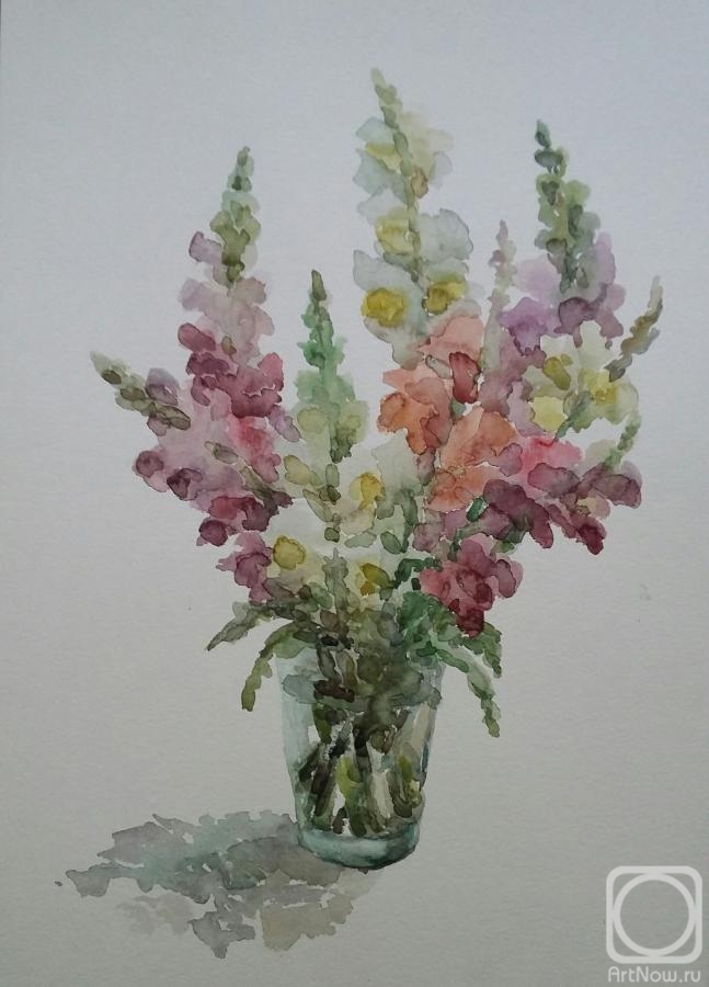 �������. ���� �����. ������� ���. ���������