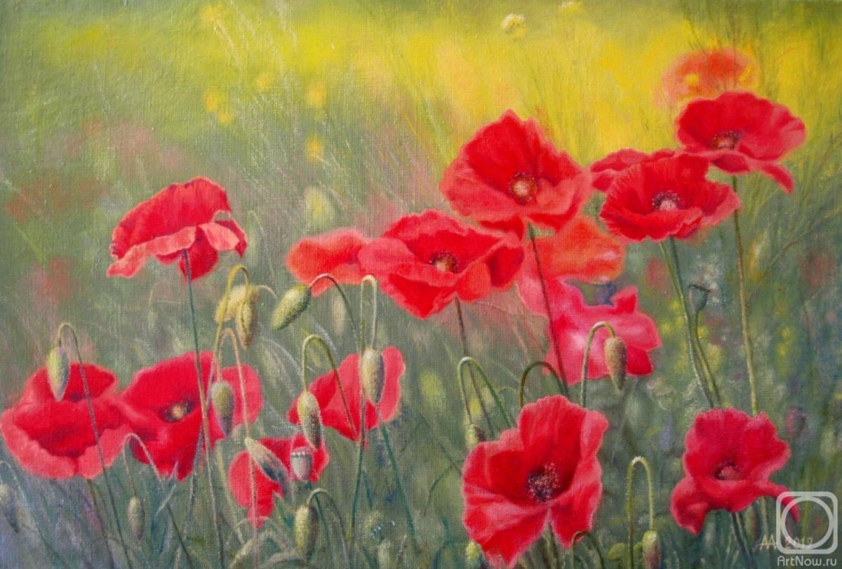 Maryin Alexey. How the lights alee poppies