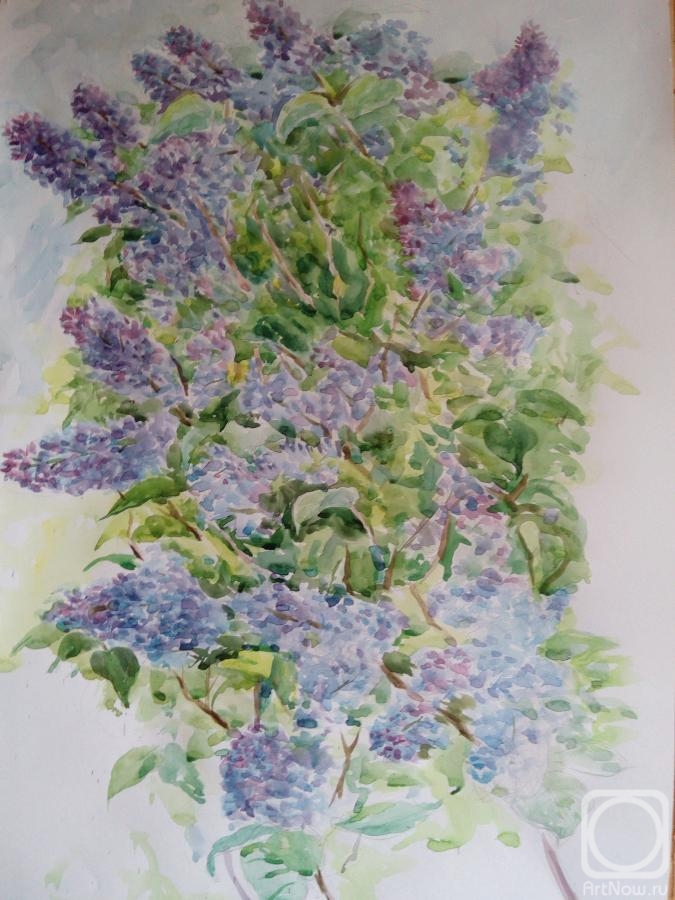 �������. ��������� �����. ����� ������