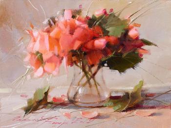 Pelargonium. Gappasov Ramil