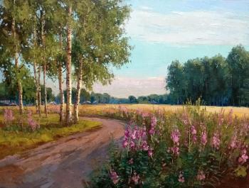 Ivan-tea. Summer evening
