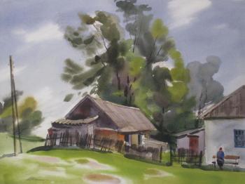 Village noon. Shkalin Vladimir