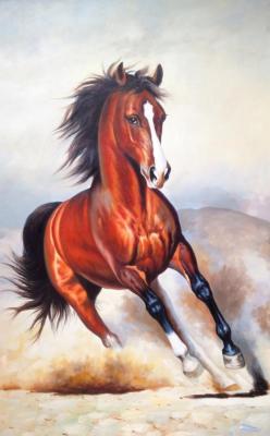 Horse (). Bruno Tina