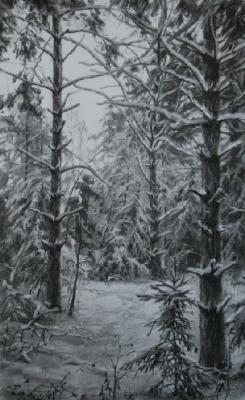 Forest under the snow. Bochmanov Sergey