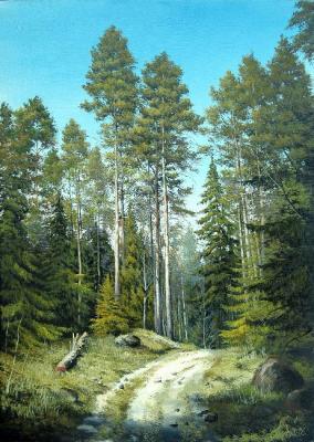 ������� �41 ������� ��������