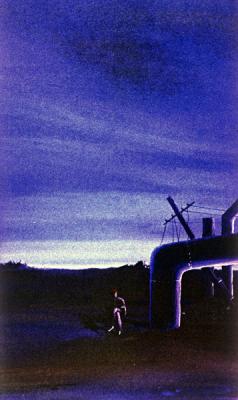 Картина «Начальник ландшафта»