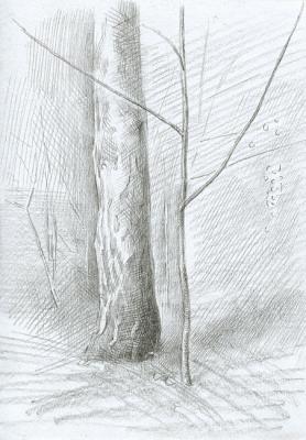 Early Spring (Sketch) (Line Studies 2004-2011). Yudaev-Racei Yuri