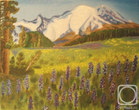 ������� ������ �� ������. �������� ������. ���������� ���