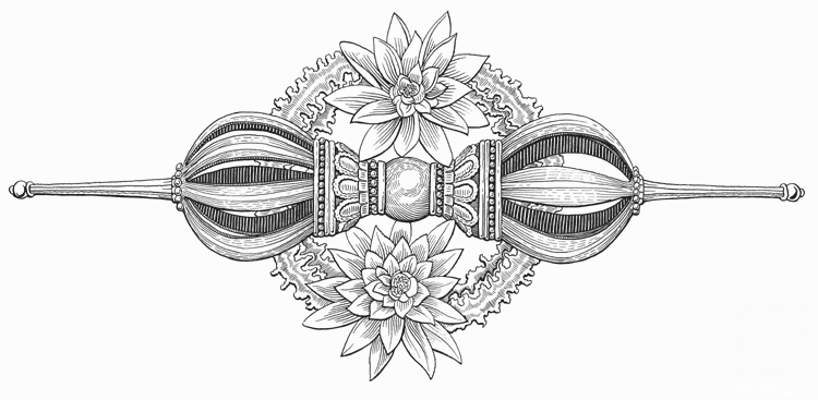 �������. �������� �������. ������