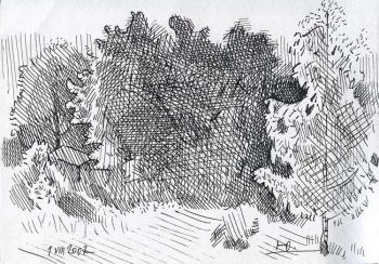 Birch-tree in Boulatnikovo (Sketch)