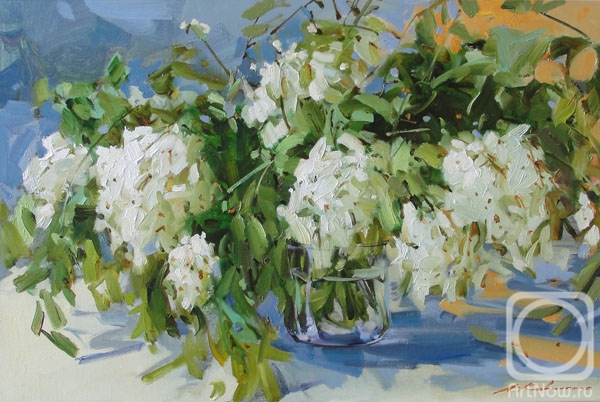 ������� ������ �� ������. ��������� ����. ������ �����