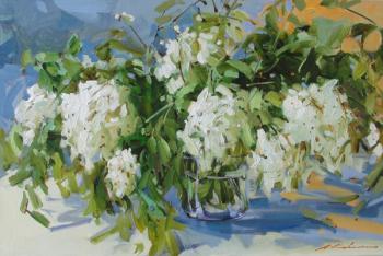 Acacia white. Kovalenko Lina