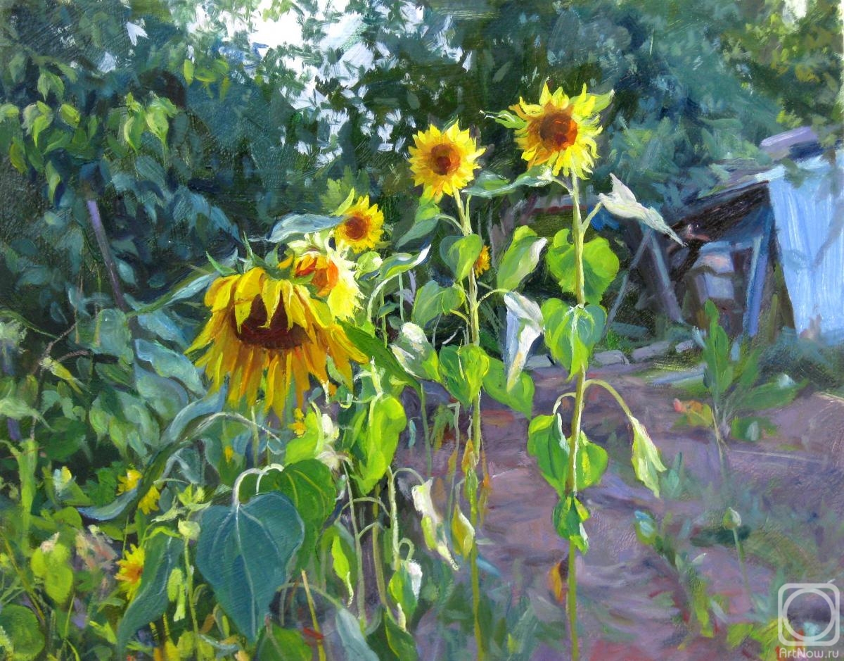 Voronov Vladimir. Sunflowers under the morning sun