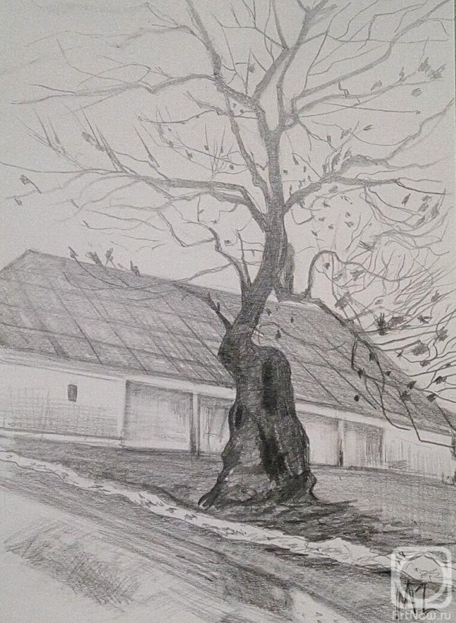 �������. ������ �����. ������